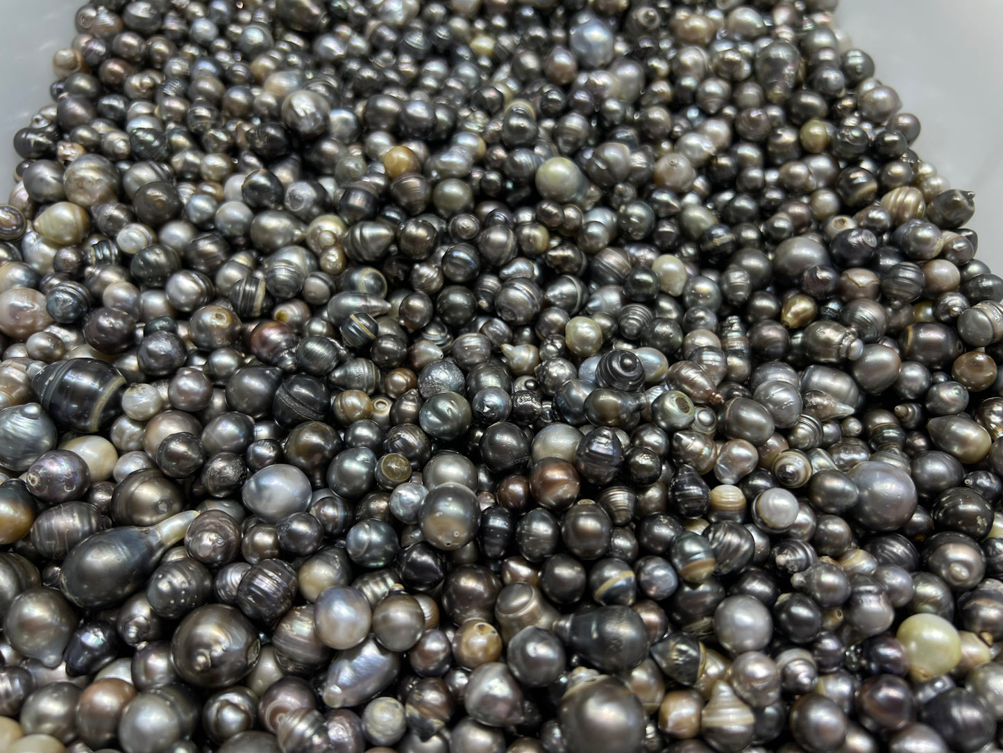 8mm-15mm A Tahitian pearl