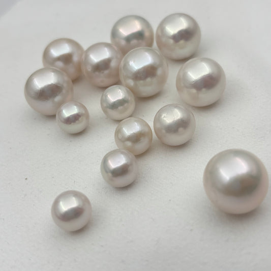 Freshwater Edison pearl 15mm＋