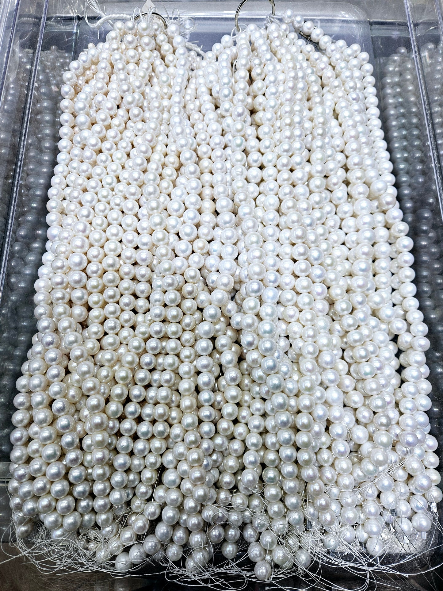 Freshwater Edison pearl 8-9mm Multiple color